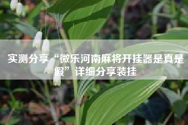 实测分享“微乐河南麻将开挂器是真是假”详细分享装挂