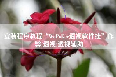 安装程序教程“WePoKer透视软件挂”作弊(透视)透视辅助