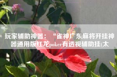 玩家辅助神器：“雀神广东麻将开挂神器通用版红龙poker有透视辅助挂(太