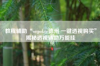 教程辅助“wepoker德州 一键透视购买”揭秘透视辅助万能挂