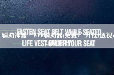 辅助神器“WPK辅助器(免费)”开挂(透视)辅助神器