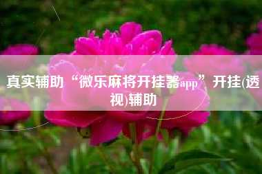 真实辅助“微乐麻将开挂器app”开挂(透视)辅助