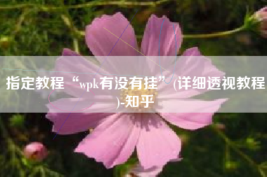 指定教程“wpk有没有挂”(详细透视教程)-知乎