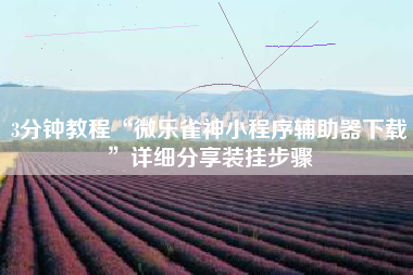 3分钟教程“微乐雀神小程序辅助器下载	”详细分享装挂步骤