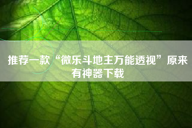 推荐一款“微乐斗地主万能透视”原来有神器下载