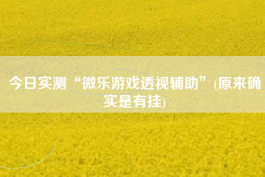 今日实测“微乐游戏透视辅助	”(原来确实是有挂)