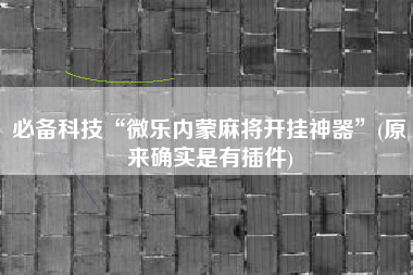 必备科技“微乐内蒙麻将开挂神器”(原来确实是有插件)