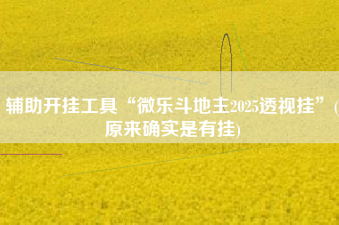 辅助开挂工具“微乐斗地主2025透视挂”(原来确实是有挂)