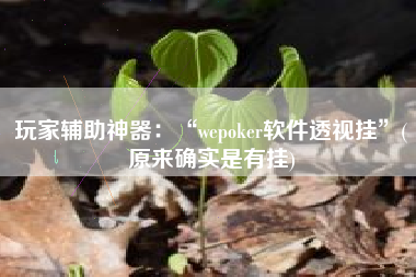 玩家辅助神器：“wepoker软件透视挂	”(原来确实是有挂)