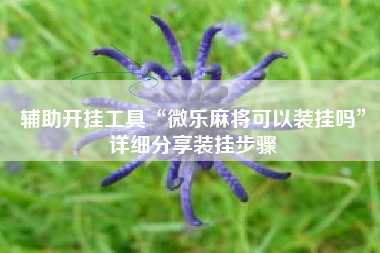 辅助开挂工具“微乐麻将可以装挂吗”详细分享装挂步骤