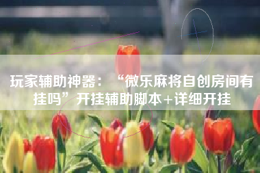 玩家辅助神器：“微乐麻将自创房间有挂吗”开挂辅助脚本+详细开挂