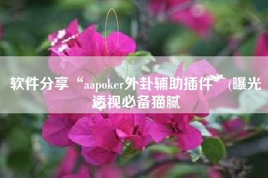 软件分享“aapoker外卦辅助插件”(曝光透视必备猫腻