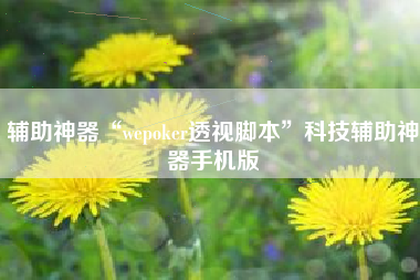 辅助神器“wepoker透视脚本	”科技辅助神器手机版