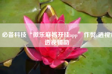 必备科技“微乐麻将开挂app”作弊(透视)透视辅助