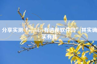 分享实测“wepoker有透视软件吗	”其实确实有挂