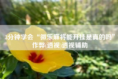 3分钟学会“微乐麻将能开挂是真的吗”作弊(透视)透视辅助