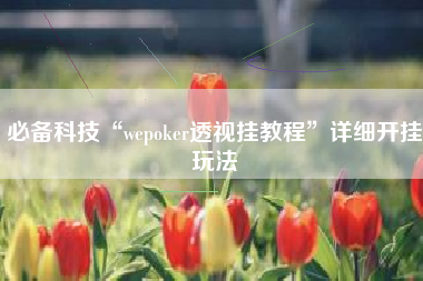 必备科技“wepoker透视挂教程	”详细开挂玩法
