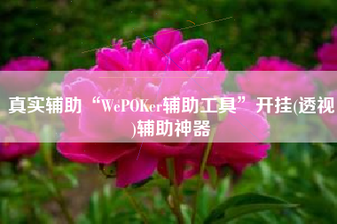 真实辅助“WePOKer辅助工具	”开挂(透视)辅助神器