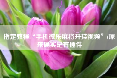 指定教程“手机微乐麻将开挂视频	”(原来确实是有插件