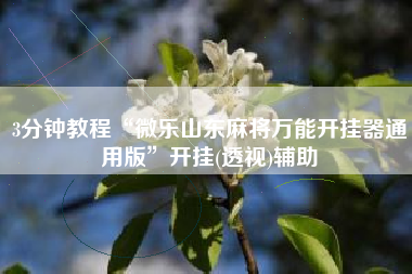 3分钟教程“微乐山东麻将万能开挂器通用版”开挂(透视)辅助