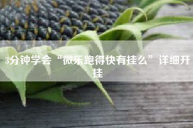 3分钟学会“微乐跑得快有挂么”详细开挂