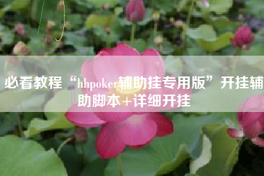 必看教程“hhpoker辅助挂专用版	”开挂辅助脚本+详细开挂