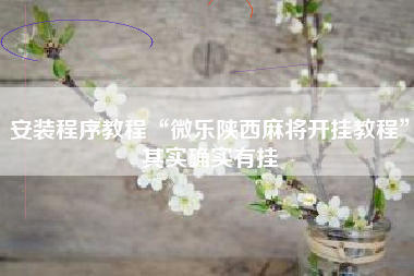 安装程序教程“微乐陕西麻将开挂教程	”其实确实有挂