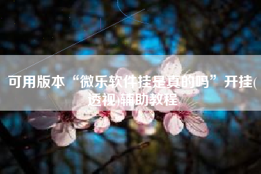 可用版本“微乐软件挂是真的吗”开挂(透视)辅助教程