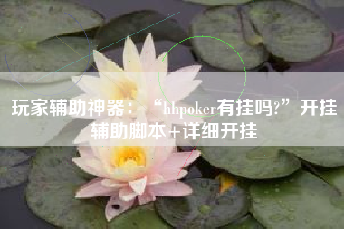 玩家辅助神器：“hhpoker有挂吗?”开挂辅助脚本+详细开挂