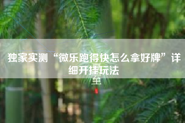 独家实测“微乐跑得快怎么拿好牌”详细开挂玩法