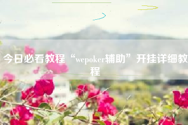今日必看教程“wepoker辅助	”开挂详细教程