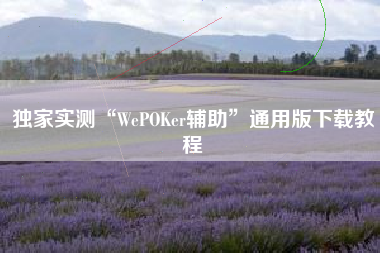 独家实测“WePOKer辅助”通用版下载教程