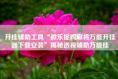 开挂辅助工具“微乐捉鸡麻将万能开挂器下载安装”揭秘透视辅助万能挂