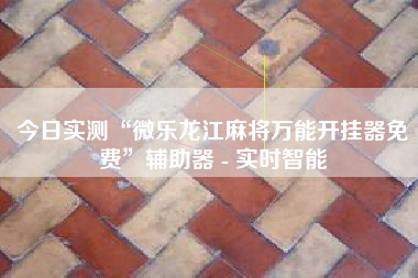 今日实测“微乐龙江麻将万能开挂器免费”辅助器 - 实时智能