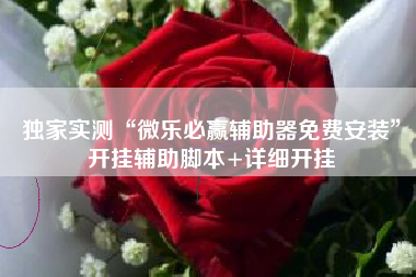 独家实测“微乐必赢辅助器免费安装”开挂辅助脚本+详细开挂