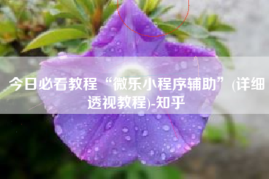 今日必看教程“微乐小程序辅助”(详细透视教程)-知乎