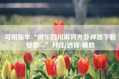 可用版本“微乐四川麻将外卦神器下载安装ios	”开挂(透视)辅助