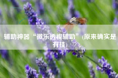 辅助神器“微乐透视辅助”(原来确实是有挂)