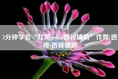 3分钟学会“红龙poker透视辅助”作弊(透视)透视辅助