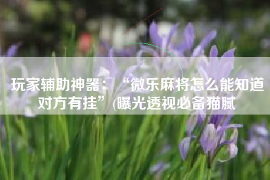 玩家辅助神器：“微乐麻将怎么能知道对方有挂”(曝光透视必备猫腻