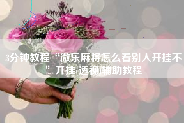 3分钟教程“微乐麻将怎么看别人开挂不”开挂(透视)辅助教程