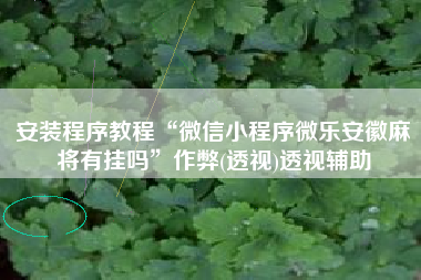 安装程序教程“微信小程序微乐安徽麻将有挂吗”作弊(透视)透视辅助