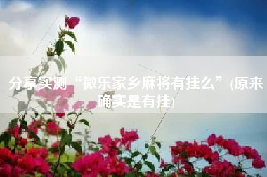 分享实测“微乐家乡麻将有挂么”(原来确实是有挂)