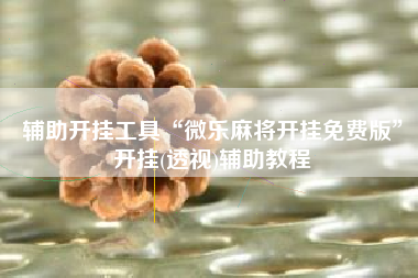 辅助开挂工具“微乐麻将开挂免费版”开挂(透视)辅助教程