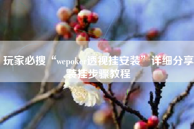 玩家必搜“wepoker透视挂安装”详细分享装挂步骤教程