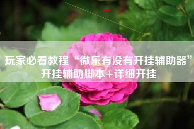 玩家必看教程“微乐有没有开挂辅助器	”开挂辅助脚本+详细开挂