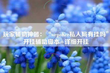玩家辅助神器：“wepoKer私人局有挂吗	”开挂辅助脚本+详细开挂