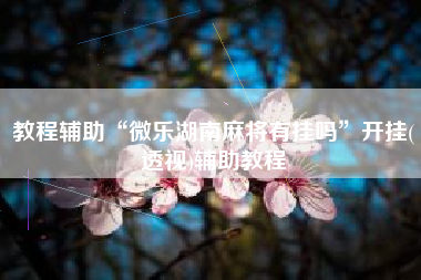 教程辅助“微乐湖南麻将有挂吗”开挂(透视)辅助教程