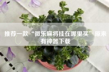 推荐一款“微乐麻将挂在哪里买”原来有神器下载