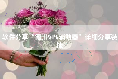 软件分享“德州WPK辅助器	”详细分享装挂